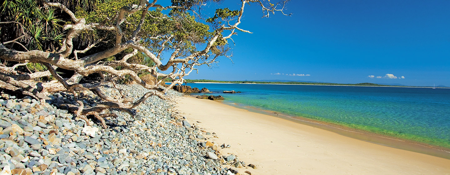 header tea tree bay noosa 2