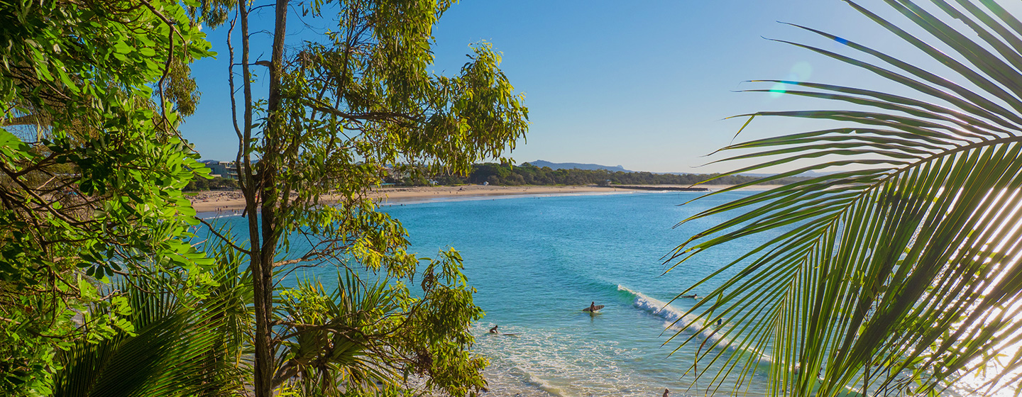 noosa main beach surf trees header