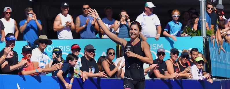 gentle finsh wave header